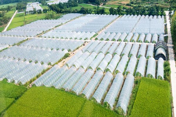 Plastic Greenhouses in China